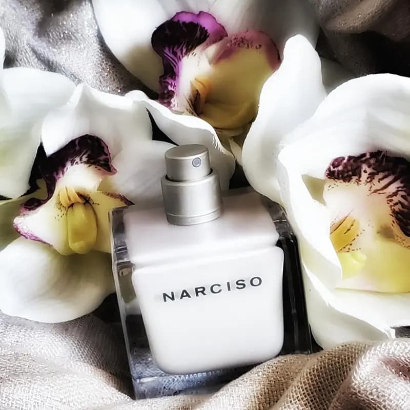 NARCISO RODRIGUEZ Narciso — تصویر ۸