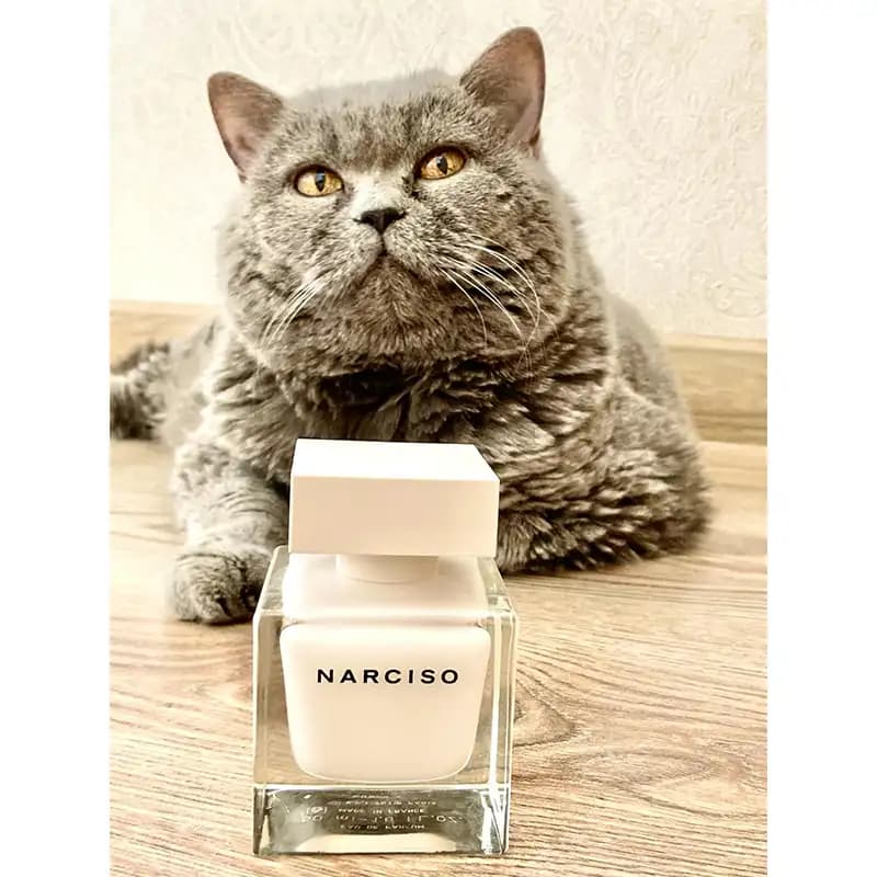 NARCISO RODRIGUEZ Narciso — تصویر ۷