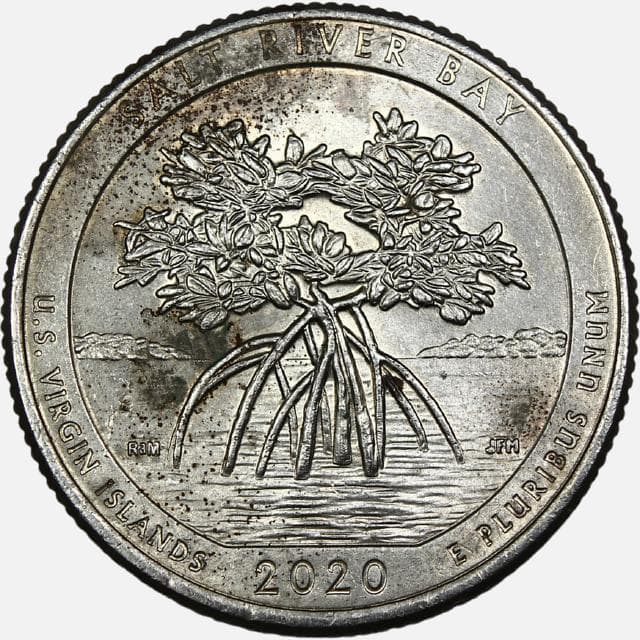 سکه کوارتر (25 سنت) یادبودی آمریکا 2020 P (کیفیت AU)