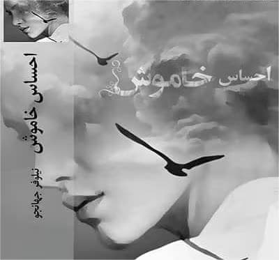 رمان احساس خاموش | جلد دوم گناه دلم | دانلود | کتاب خوان