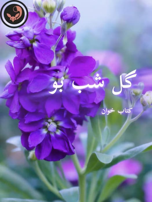 رمان گل شب بو | دانلود | کتاب خوان