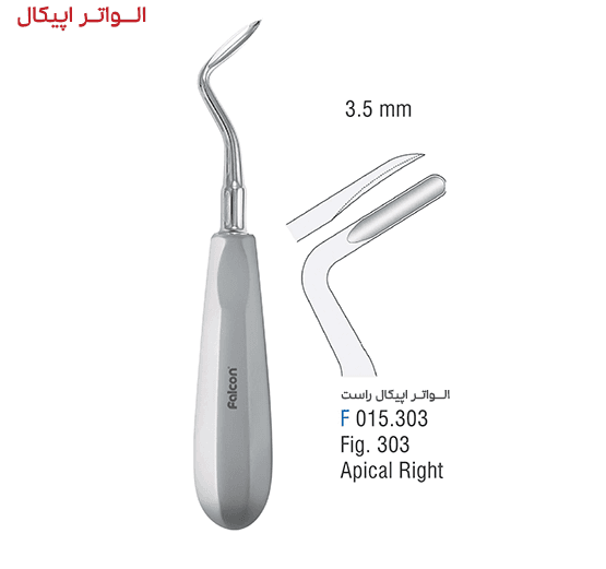 الواتور اپیکال راست – فالکن