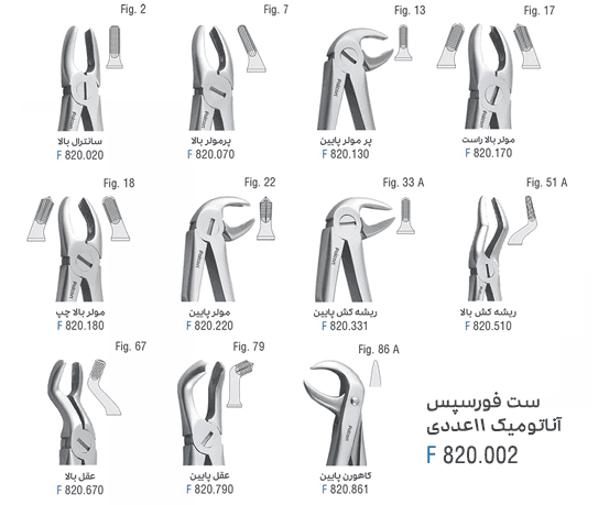 ست فورسپس آناتومیک 11عددی – فالکن — تصویر ۲