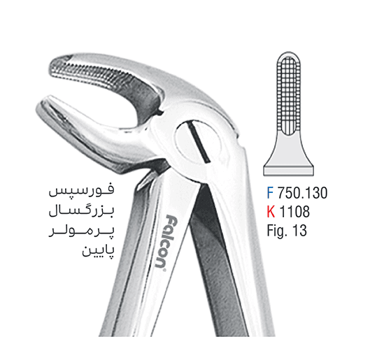 فورسپس پرمولر فک پایین – فالکن