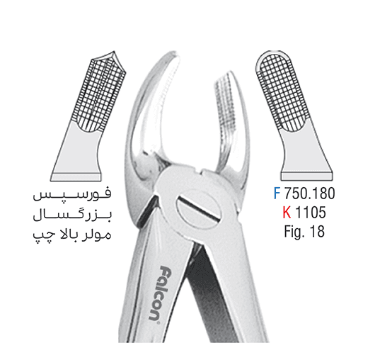 فورسپس مولر فک بالا – فالکن — تصویر ۲