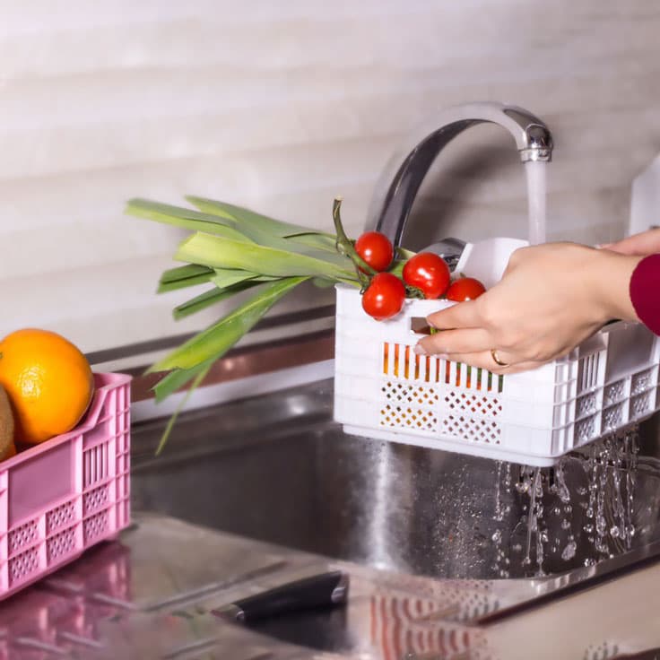 سبد میوه ترنم سایز 3 تاپ پلاست(24)/3003