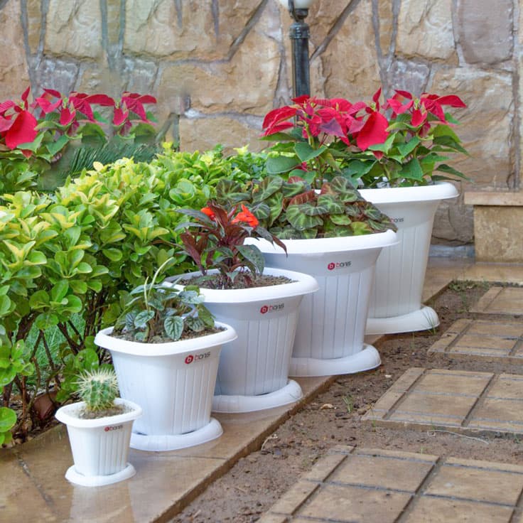 گلدان گلاره سایز 1 بانیس(12)/80111
