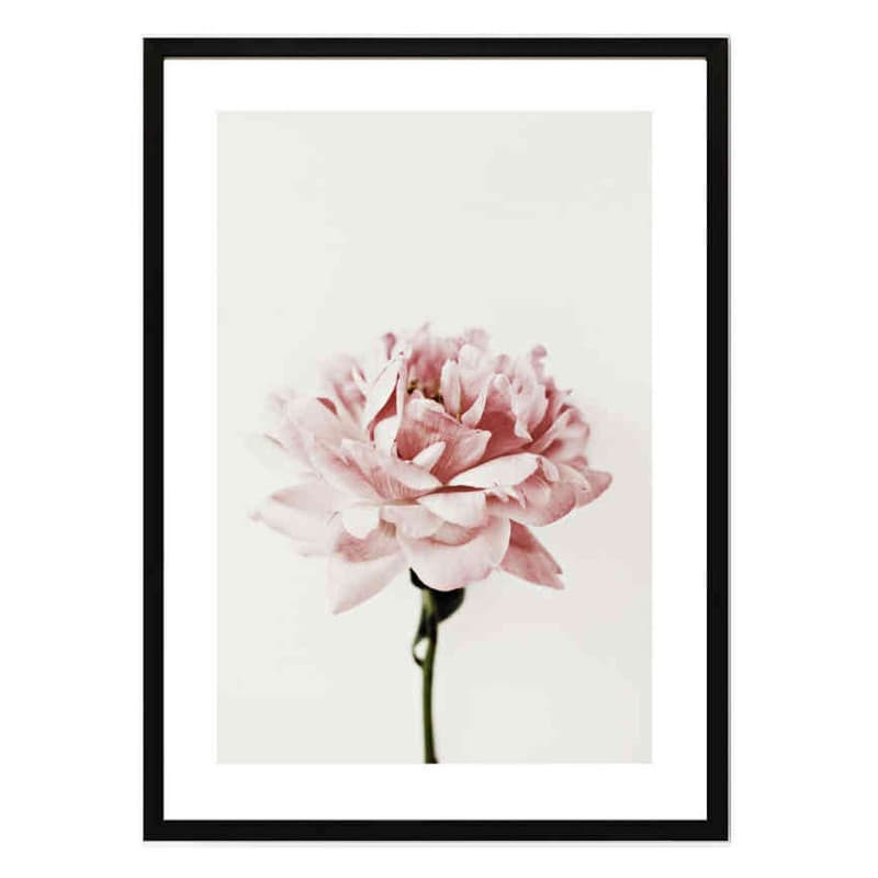 تابلو مدل Pink peony کد 2489011070