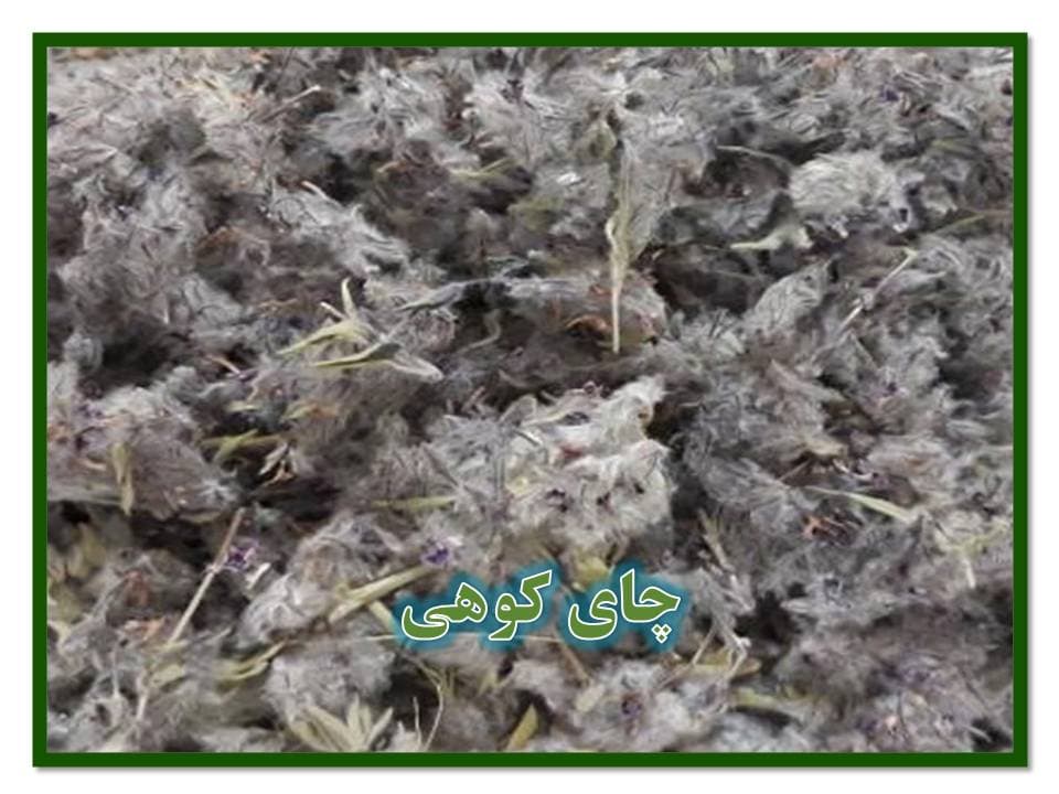 چای کوهی (توکلیجه) – 250گرم