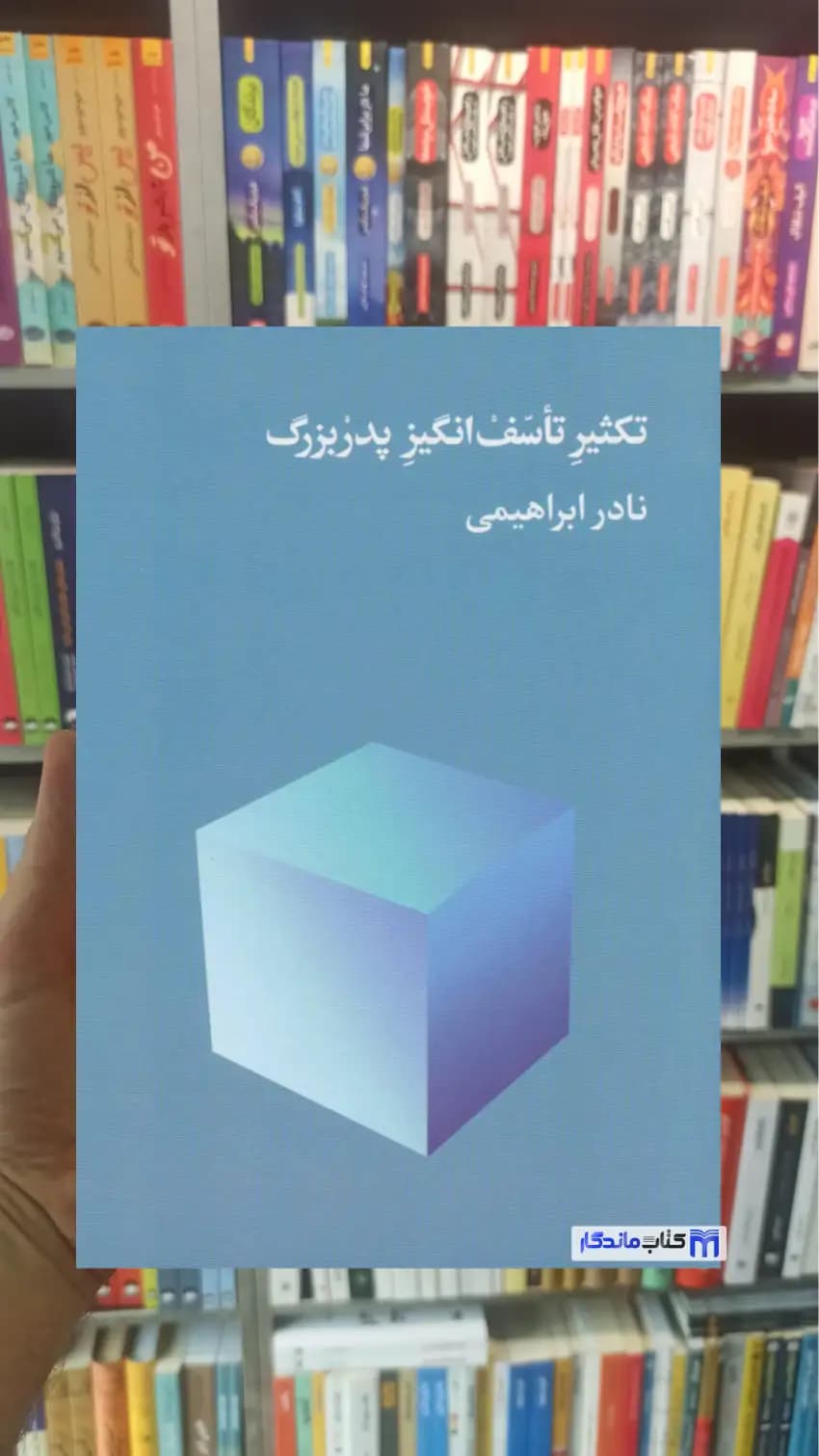 تکثیر تاسف انگیز پدربزرگ نادر ابراهیمی امیرکبیر