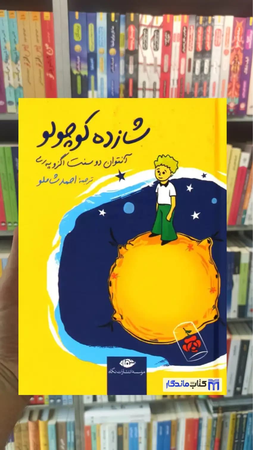 شازده کوچولو جیبی گالینگور نگاه