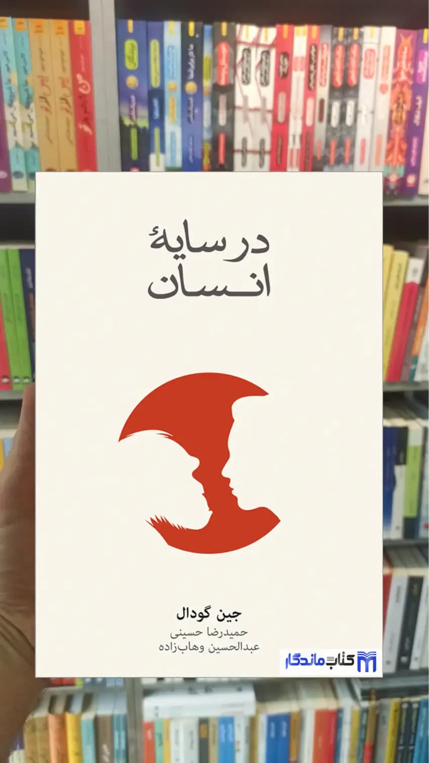 در سایه انسان جین گودال نشرنو
