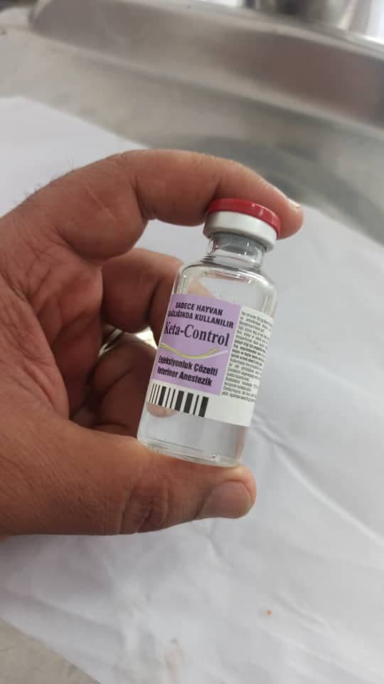 کتامین کتاکنترل 10% — تصویر ۳
