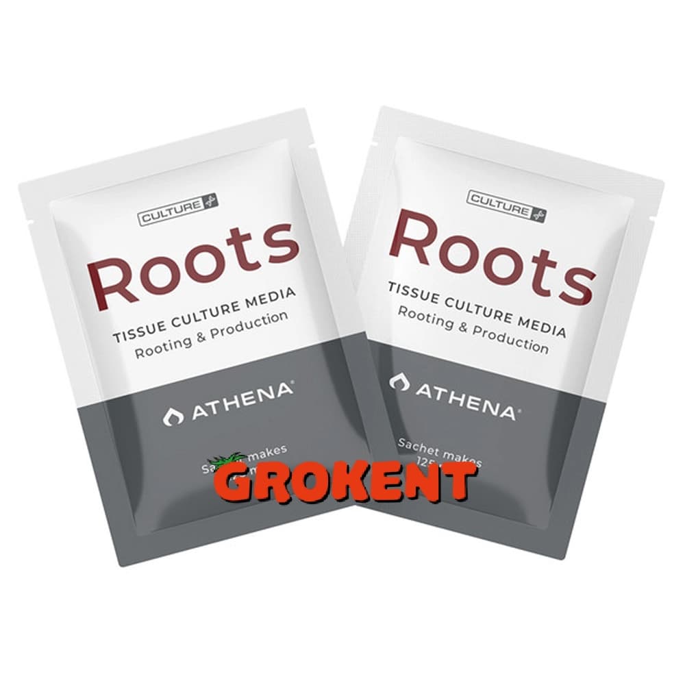 آتنا روتس Athena Roots — تصویر ۲
