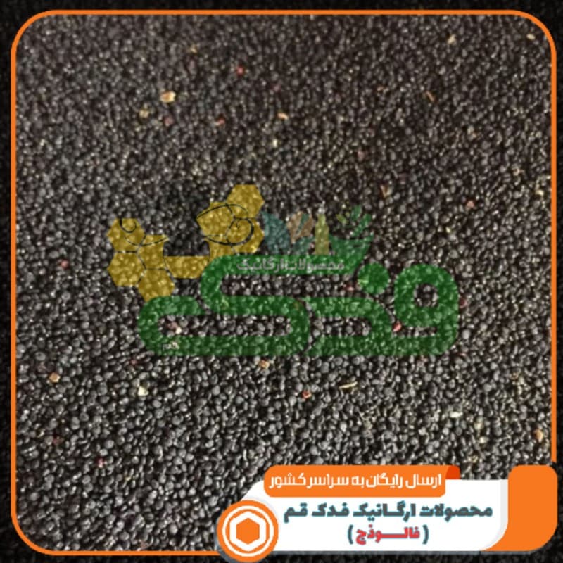 تخم خرفه (150 گرم) — تصویر ۲