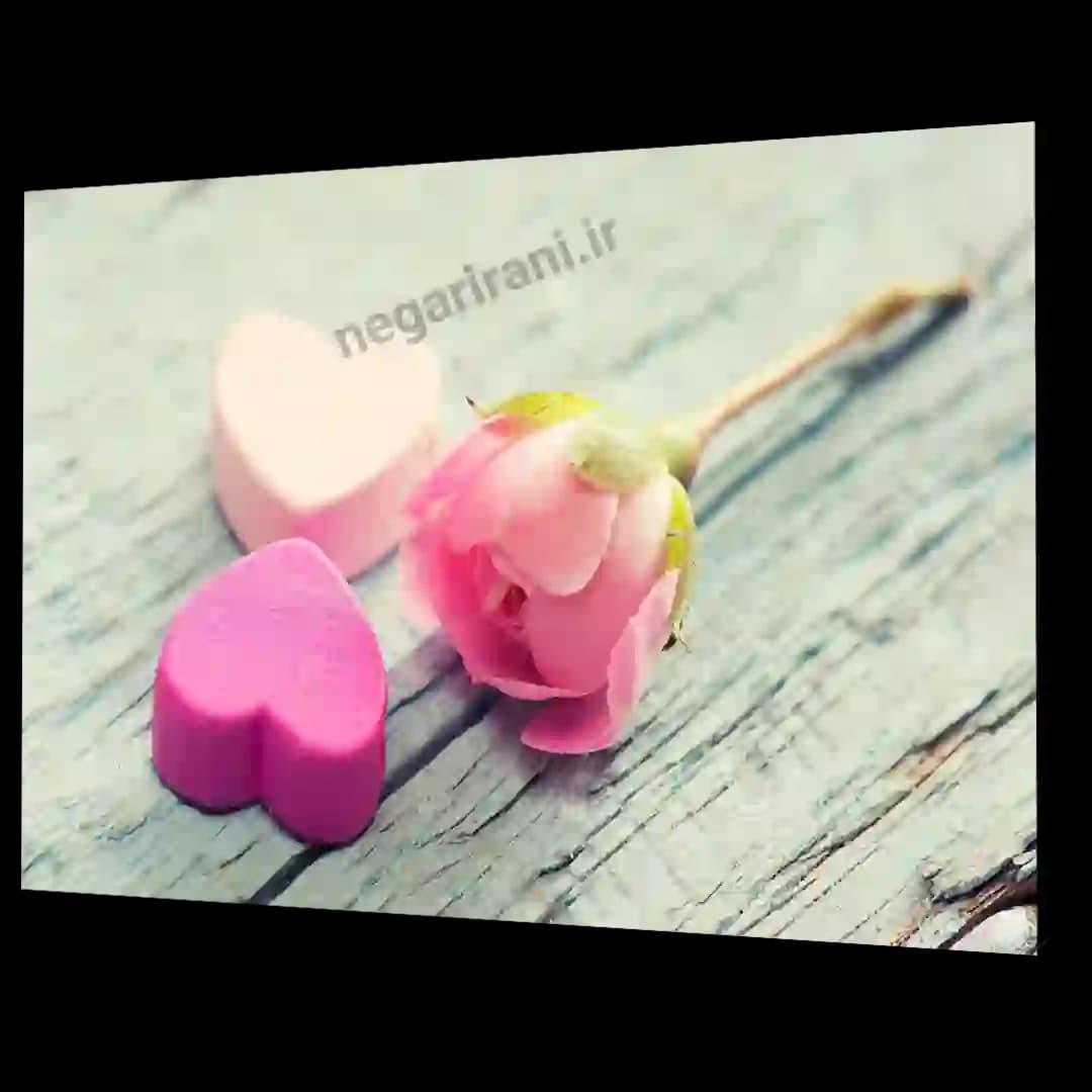تابلو شاسی قلب و گل مدل AH5