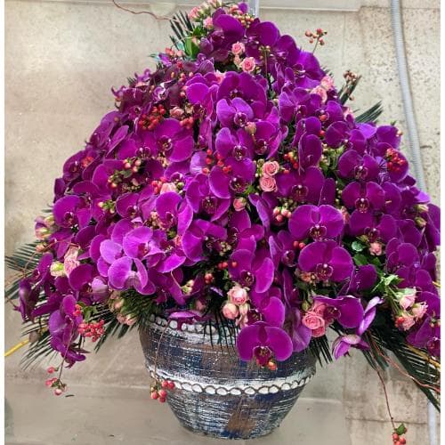 گل فروشی محدوده بیمارستان ساسان تهران t3671