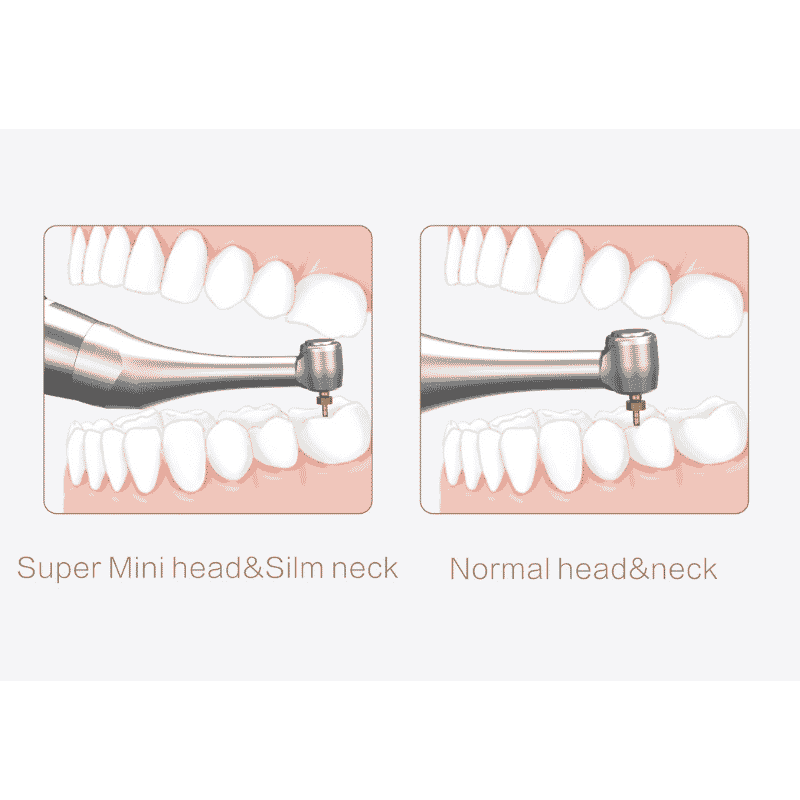 اندو موتور و اپکس لوکيتور سه کاره وودپیکر – Endo Space — تصویر ۸
