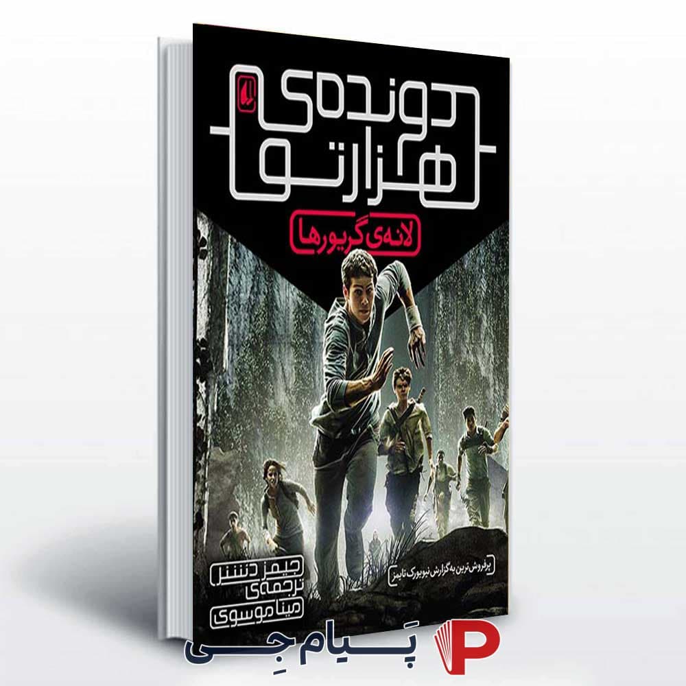 دونده هزار تو جلد اول
