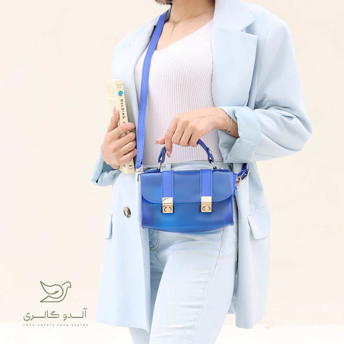 کیف طلقی مینی آنیسون — تصویر ۲