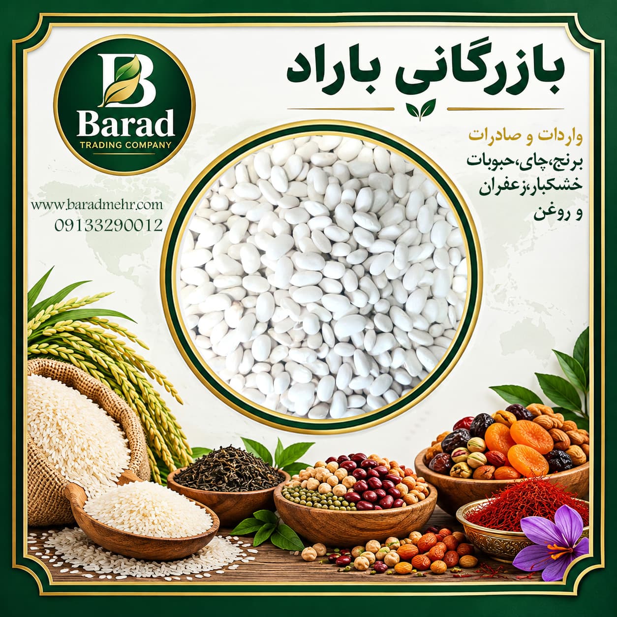 لوبیا سفید ایرانی — تصویر ۳