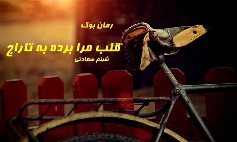 و دانلود نسخه کامل رمان قلب مرا برده به تاراج شبنم سعادتی | رمان عاشقانه | رمان بزرگسال | رمان اجتماعی