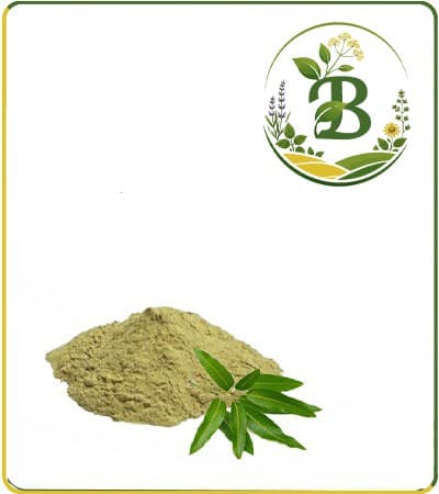 عصاره برگ انبه خشک یا پودری
