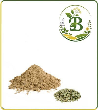 عصاره عدس خشک یا پودری