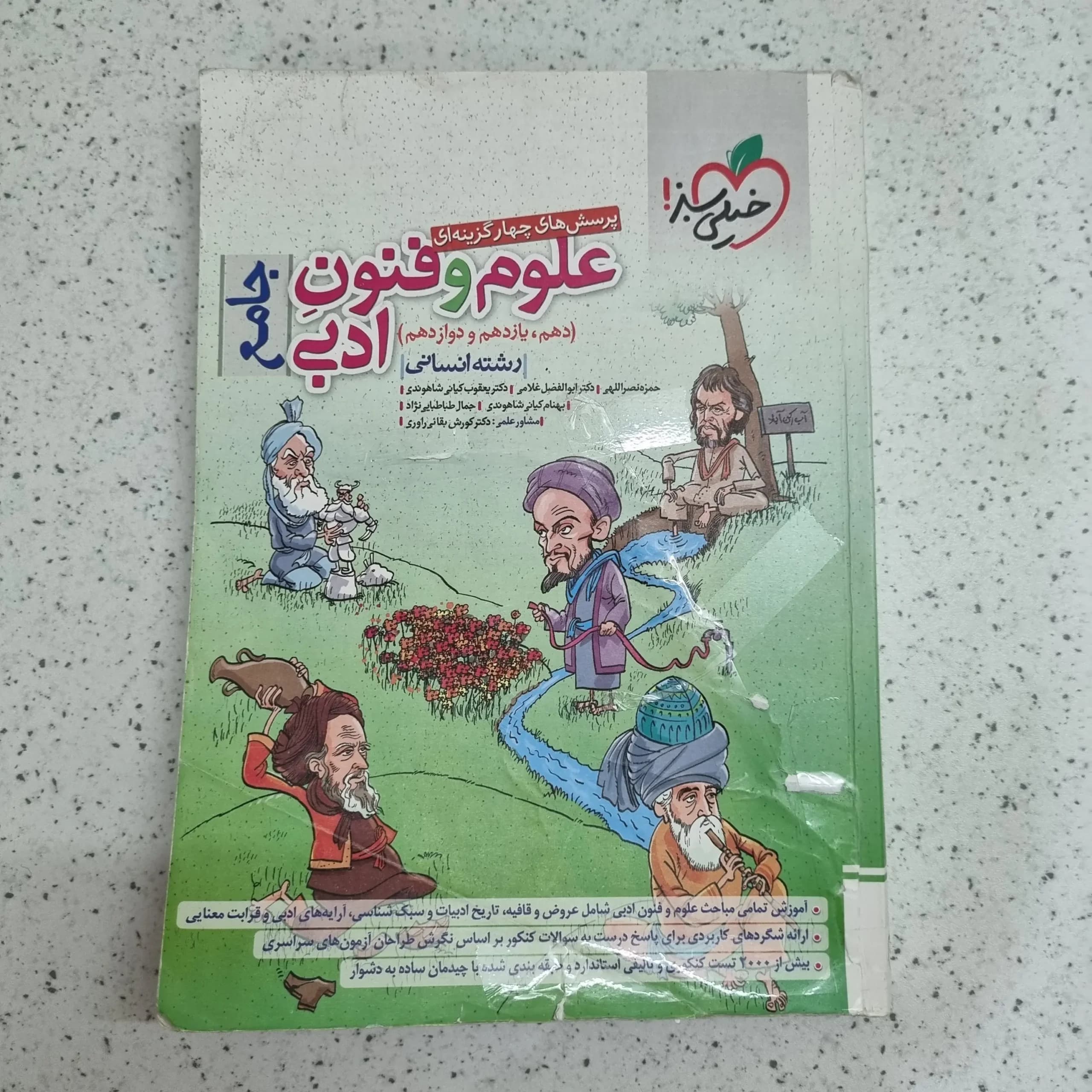 علوم و فنون ادبی جامع خیلی سبز 1402 (دست دوم)