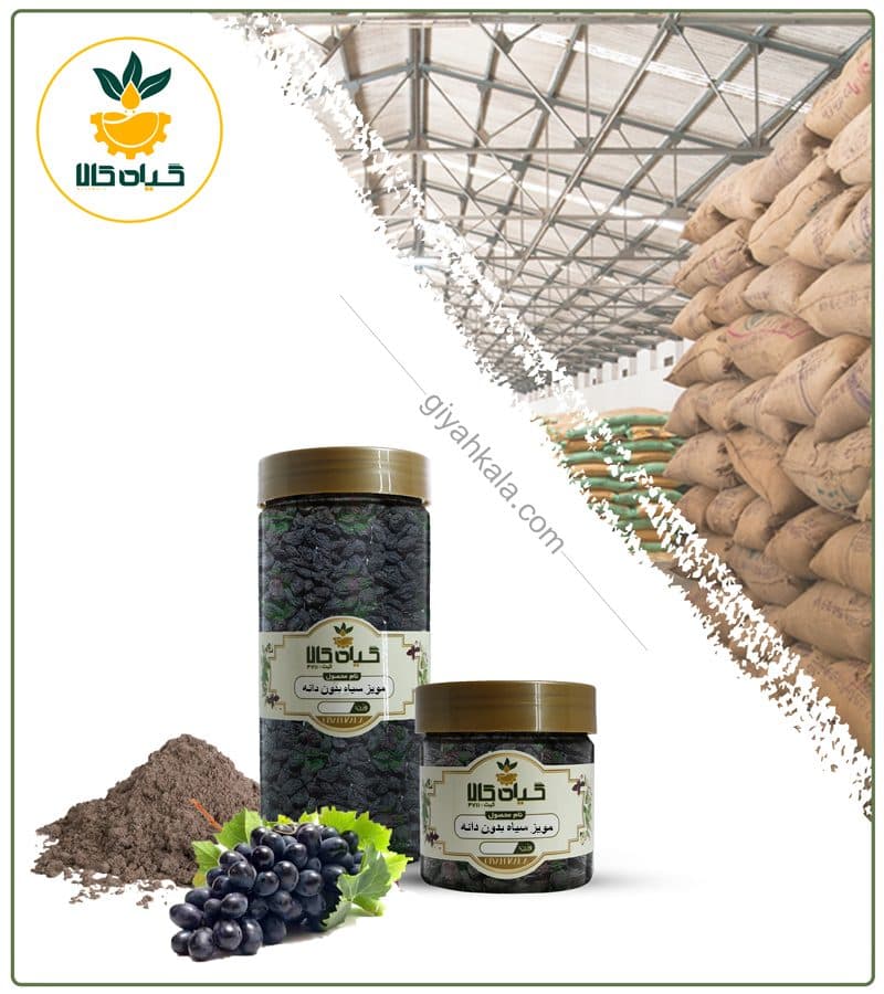 مویز سیاه (بدون دانه) خشک یا پودری بسته بندی — تصویر ۲