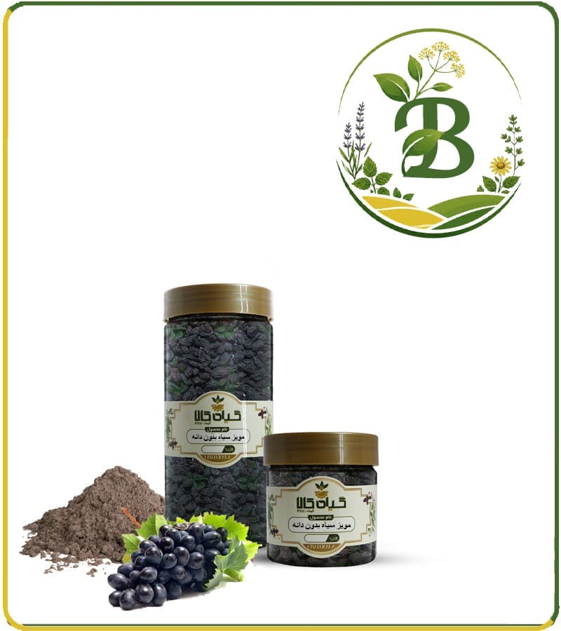 مویز سیاه (بدون دانه) خشک یا پودری بسته بندی