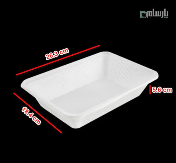 ظرف گیاهی یکبار مصرف بسته بندی عمیق آملون — تصویر ۲