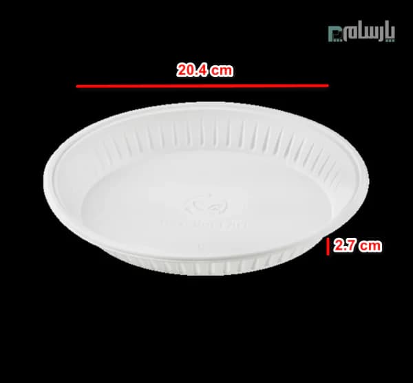 بشقاب گیاهی یکبار مصرف کوچک آملون — تصویر ۲