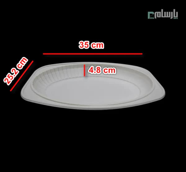 دیس گیاهی یکبار مصرف سایز بزرگ آملون — تصویر ۲