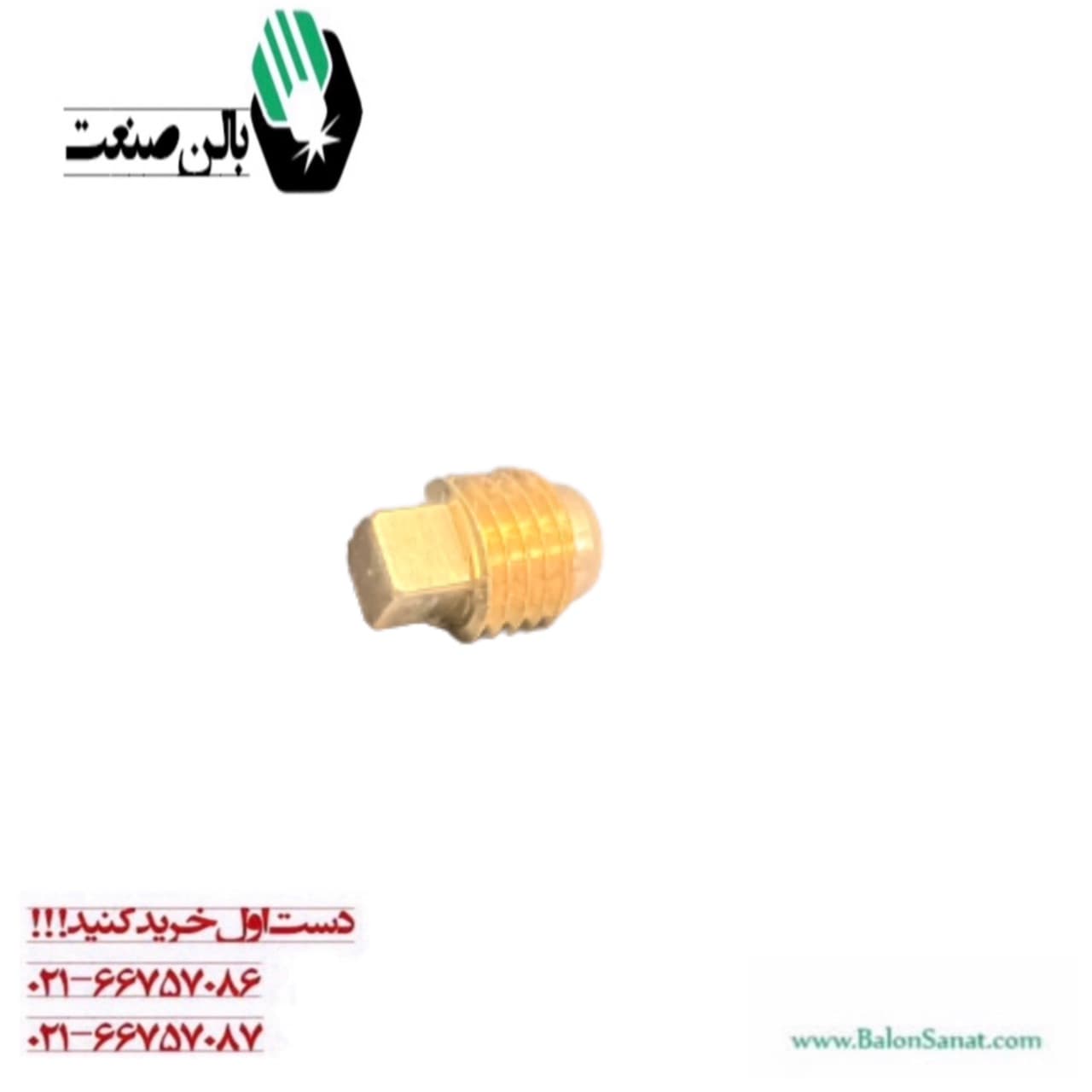نافی آلنی شیر کپسول