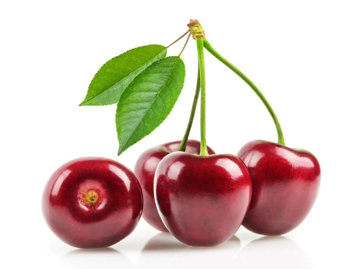 عکس استوک خوشه گیلاس با زمینه سفید