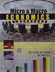 کتاب Macro Economics for Business Decisions (تصمیم‌گیری‌های کسب‌وکار بر پایه اقتصاد کلان) نسخه انگلیسی PDF | آنیل کومار