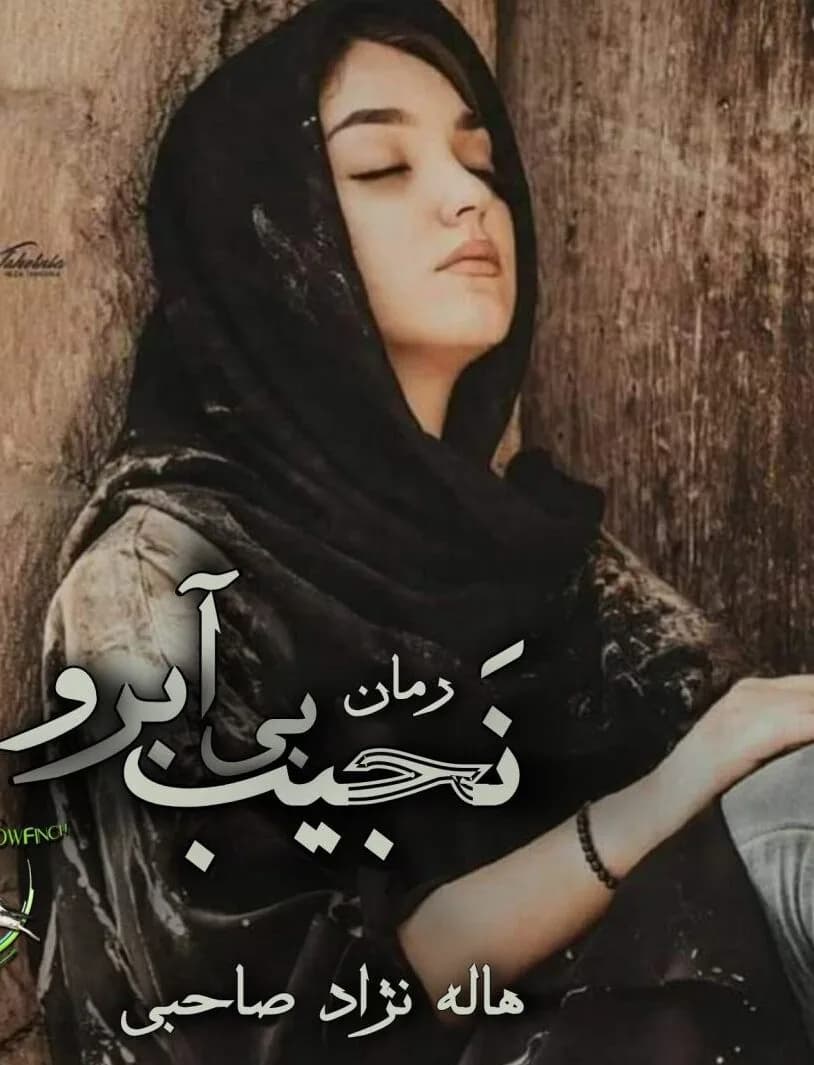 دانلود PDF رمان نجیب بی آبرو اثر هاله نژاد صاحبی — تصویر ۲