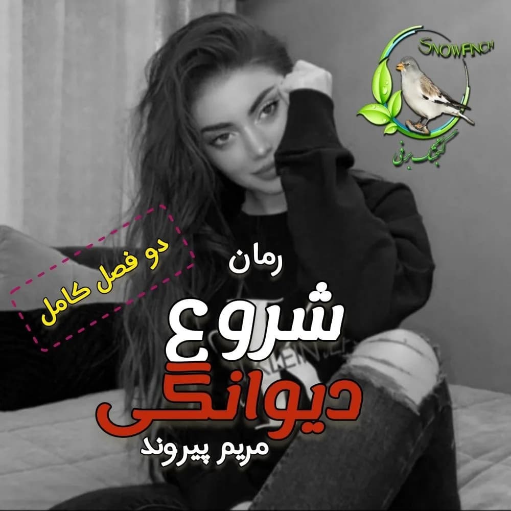 دانلود pdf رمان شروع دیوانگی جلد اول و دوم کامل اثر مریم پیروند — تصویر ۲