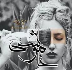 دانلود pdf رمان خاموشی اثر مریم پیروند — تصویر ۲
