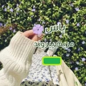 دانلود pdf رمان یاس اثر مریم پیروند — تصویر ۲