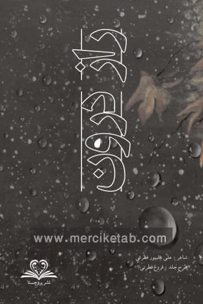 راز درون نشر پروچستا