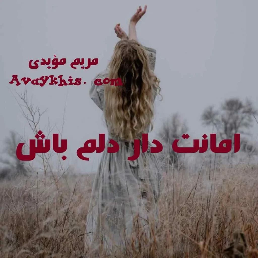 دانلود pdf رمان امانت دار دلم باش