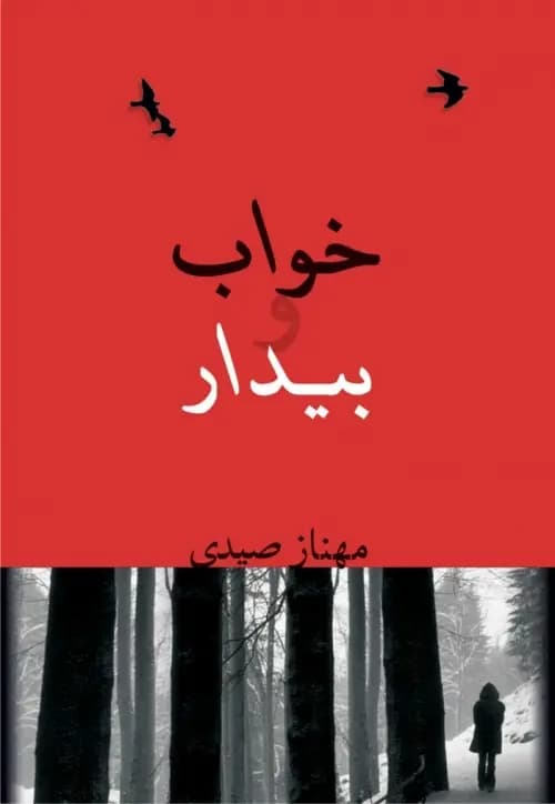 دانلود pdf رمان خواب و بیدار اثر مهناز صیدی
