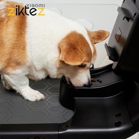 تردمیل سگ گربه شیائومی Xiaomi YESOUL Smart Pet Treadmill Q1 ( گلوبال اصلی پلمپ) — تصویر ۸