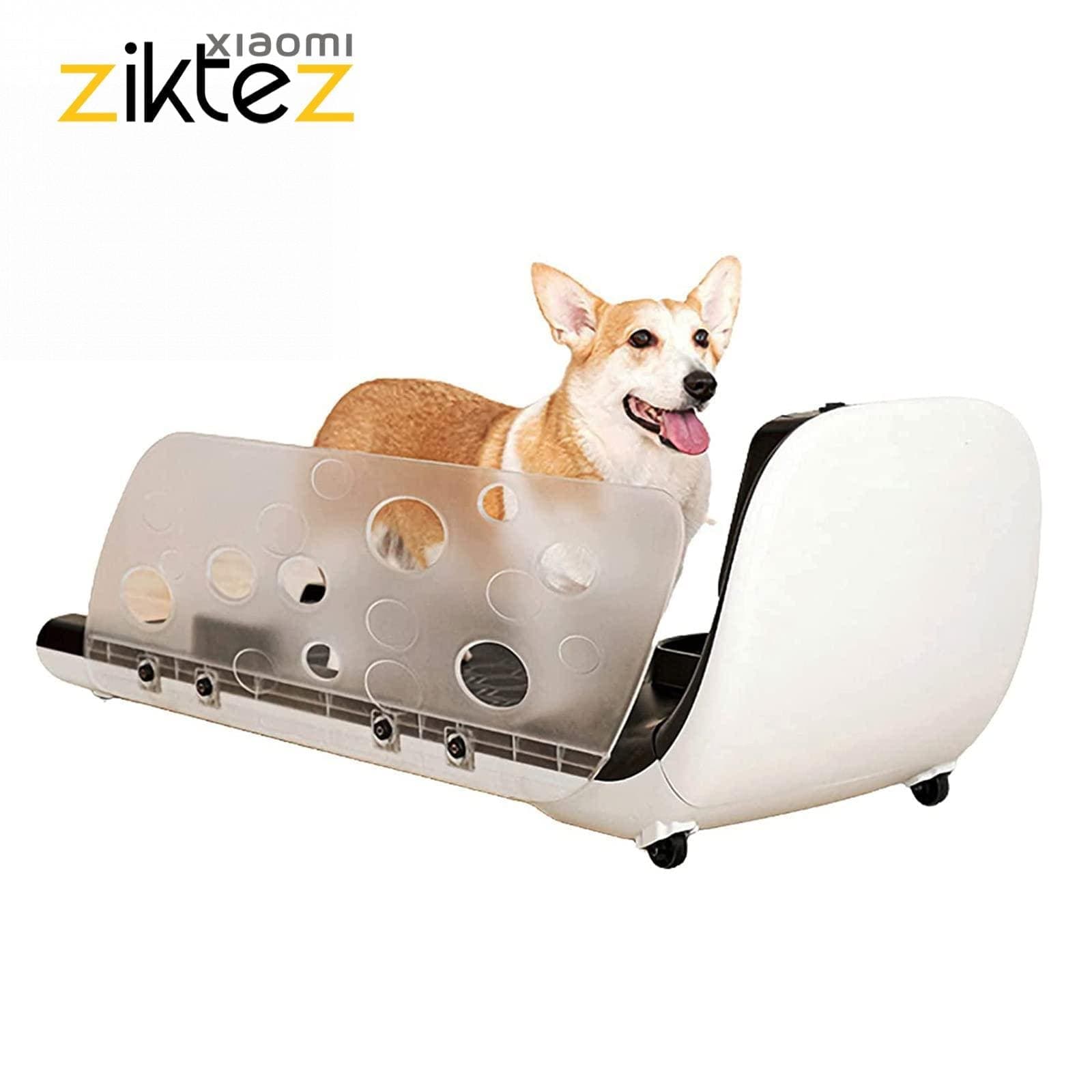 تردمیل سگ گربه شیائومی Xiaomi YESOUL Smart Pet Treadmill Q1 ( گلوبال اصلی پلمپ)