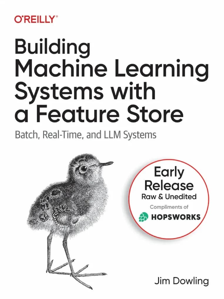 کتاب ساخت سیستم‌های یادگیری ماشین با مخزن ویژگی‌ها (Building Machine Learning Systems with a Feature Store) نسخه انگلیسی PDF | جیم دولینگ