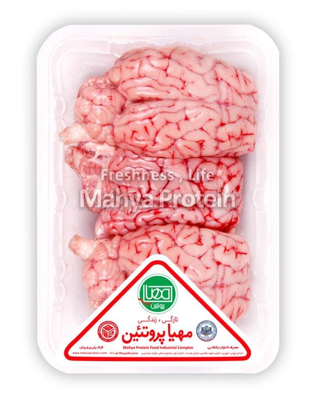 مغز گوسفند 3 عددی مهیا پروتئین