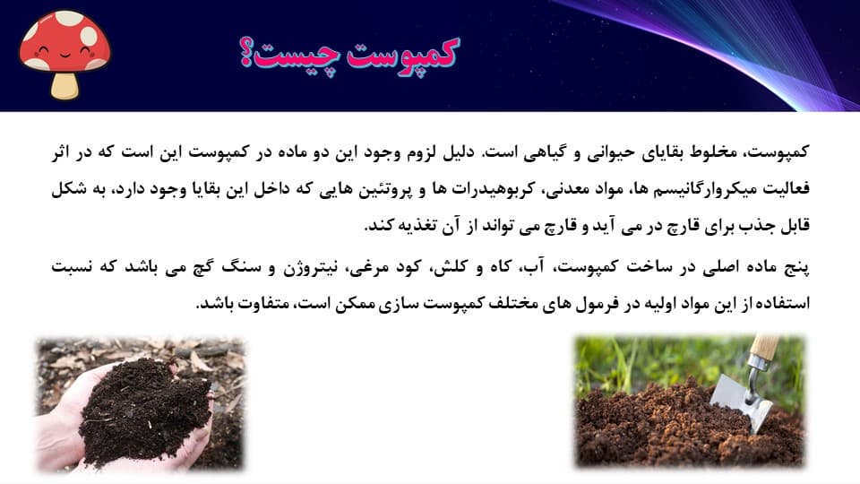 پاورپوینت پرورش قارچ (4773) — تصویر ۲