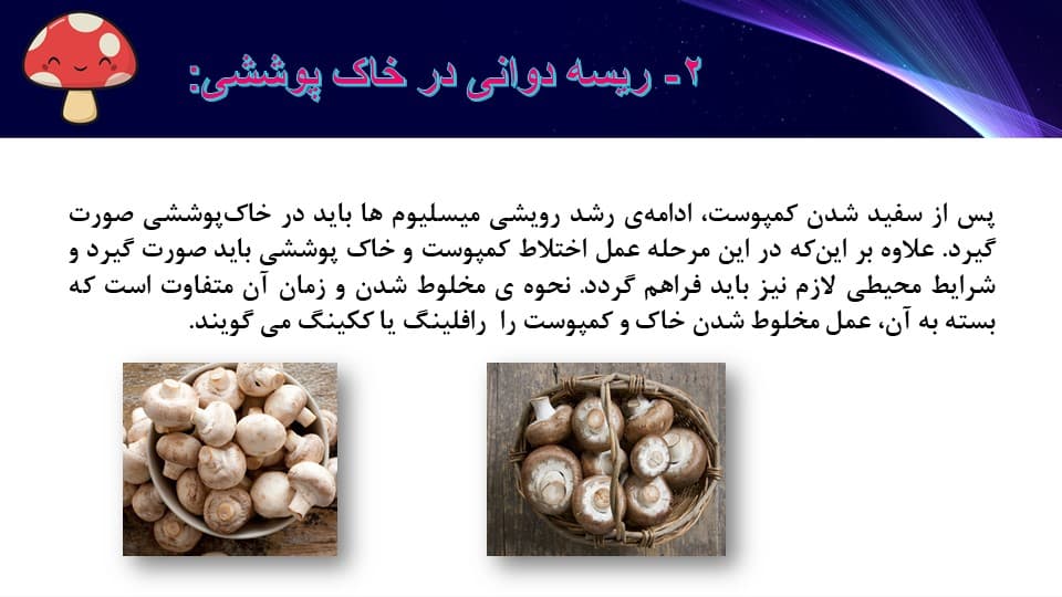 پاورپوینت پرورش قارچ (4773) — تصویر ۴